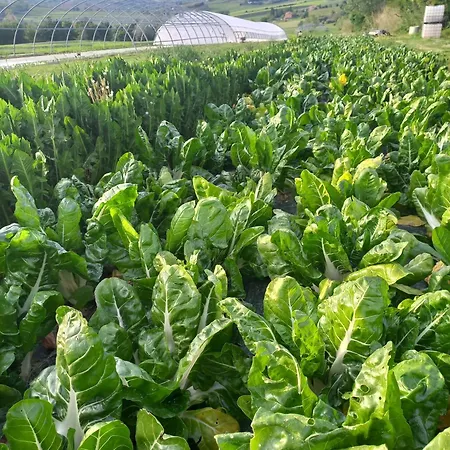 בית חווה Agriturismo Il Mio Casale Monte Colombo