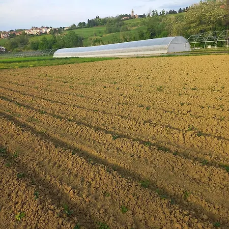 בית חווה Agriturismo Il Mio Casale *