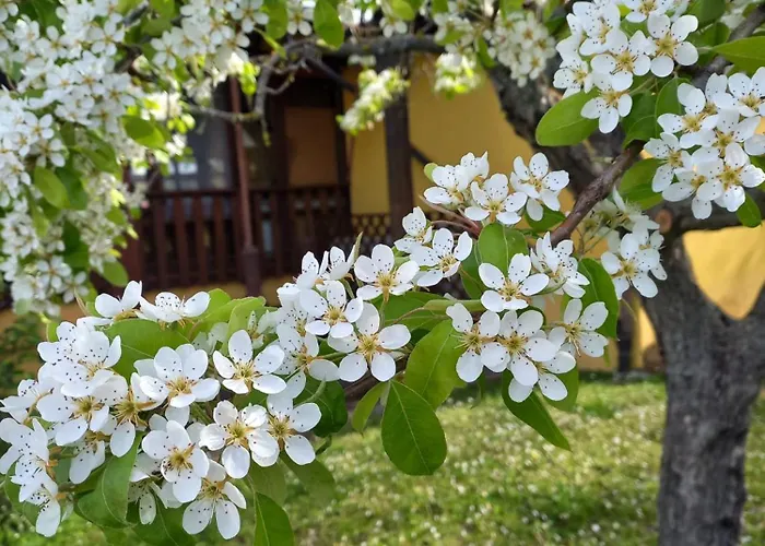Agriturismo Il Mio Casale בית חווה