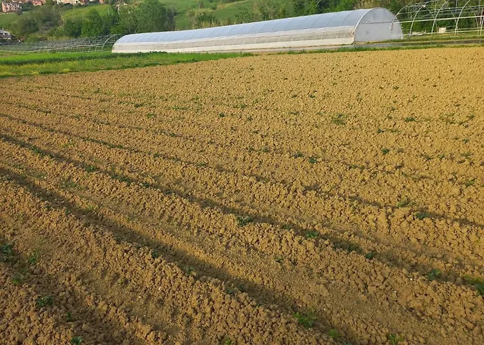 Farmház Il Mio Casale *